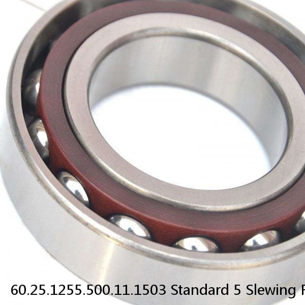 60.25.1255.500.11.1503 Standard 5 Slewing Ring Bearings