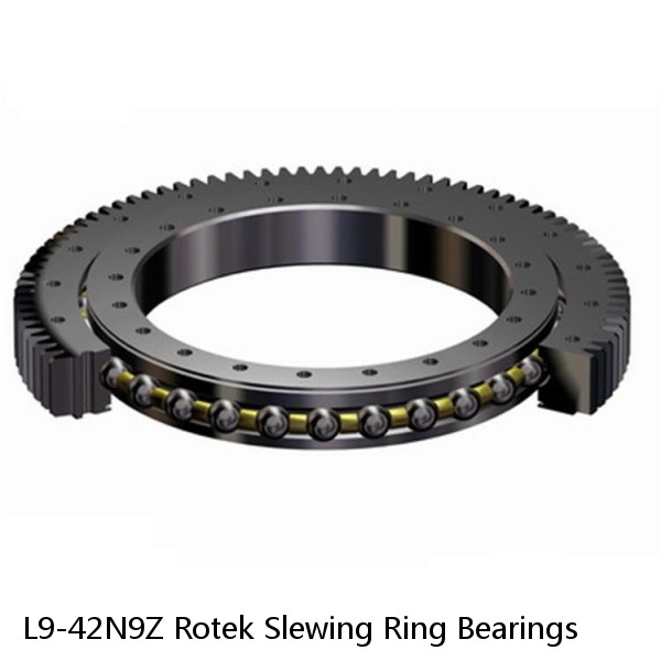 L9-42N9Z Rotek Slewing Ring Bearings