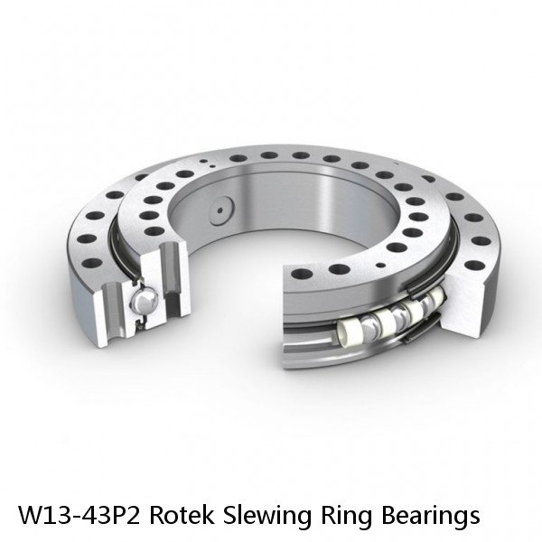 W13-43P2 Rotek Slewing Ring Bearings