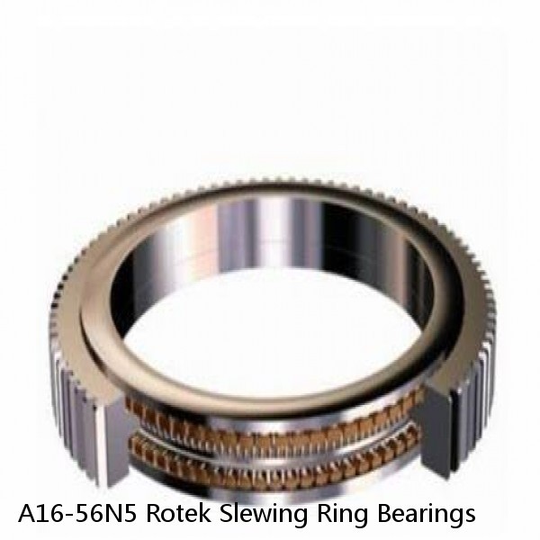 A16-56N5 Rotek Slewing Ring Bearings