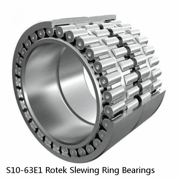 S10-63E1 Rotek Slewing Ring Bearings