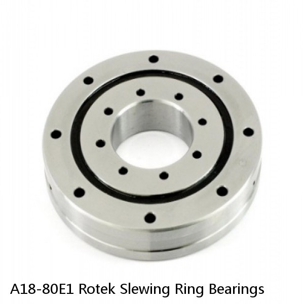 A18-80E1 Rotek Slewing Ring Bearings