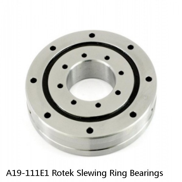 A19-111E1 Rotek Slewing Ring Bearings