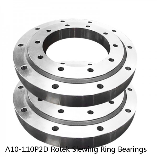 A10-110P2D Rotek Slewing Ring Bearings