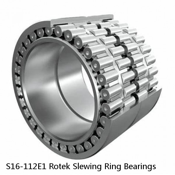 S16-112E1 Rotek Slewing Ring Bearings