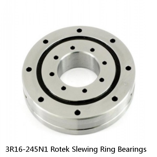 3R16-245N1 Rotek Slewing Ring Bearings