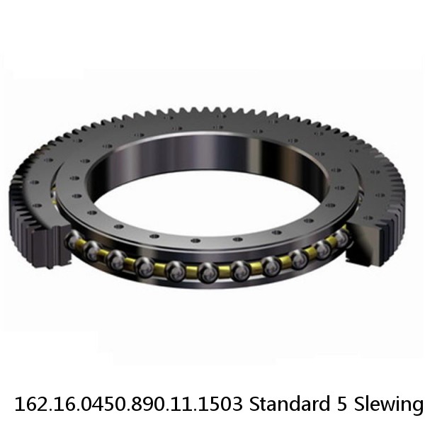 162.16.0450.890.11.1503 Standard 5 Slewing Ring Bearings