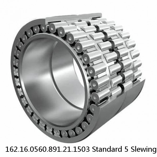 162.16.0560.891.21.1503 Standard 5 Slewing Ring Bearings