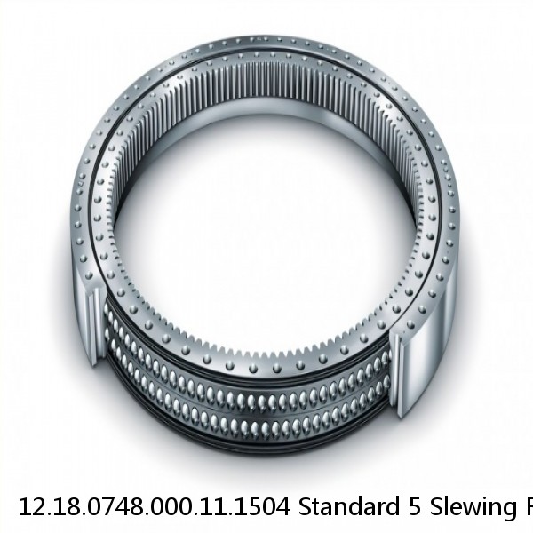 12.18.0748.000.11.1504 Standard 5 Slewing Ring Bearings