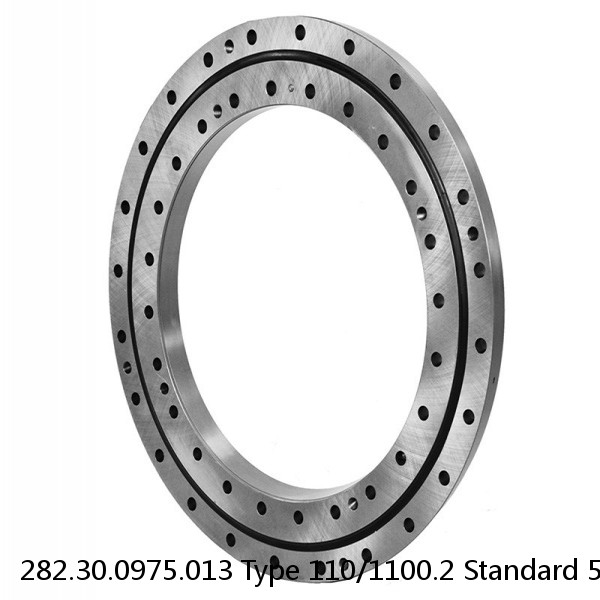 282.30.0975.013 Type 110/1100.2 Standard 5 Slewing Ring Bearings