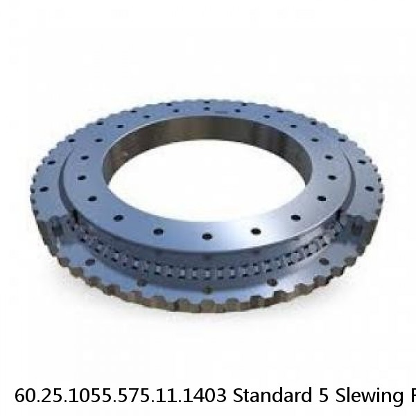 60.25.1055.575.11.1403 Standard 5 Slewing Ring Bearings