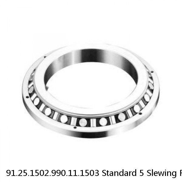 91.25.1502.990.11.1503 Standard 5 Slewing Ring Bearings