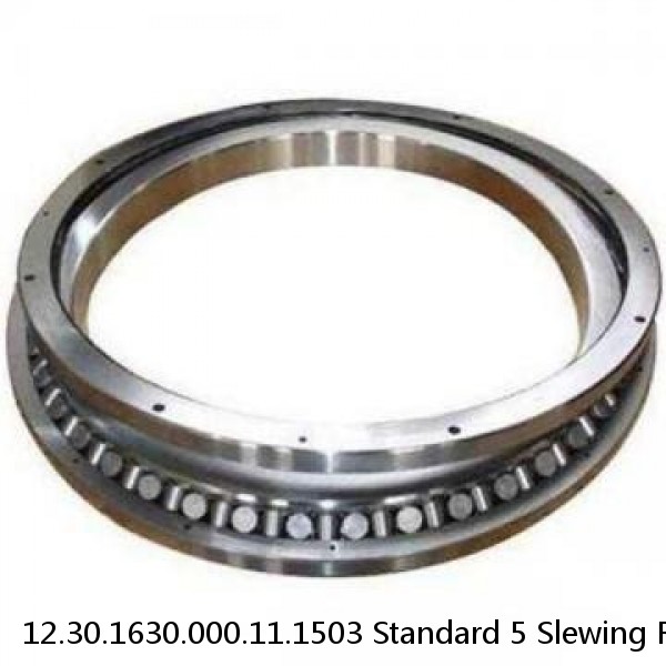 12.30.1630.000.11.1503 Standard 5 Slewing Ring Bearings