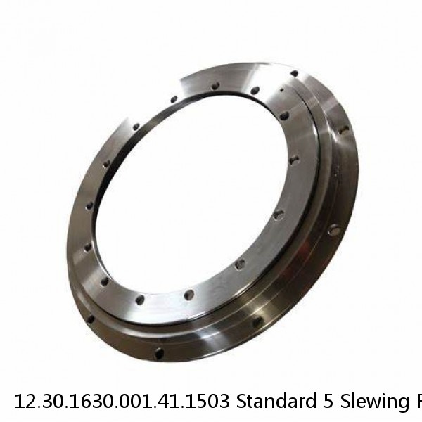 12.30.1630.001.41.1503 Standard 5 Slewing Ring Bearings