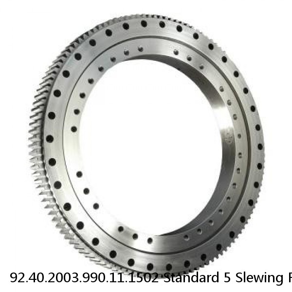 92.40.2003.990.11.1502 Standard 5 Slewing Ring Bearings