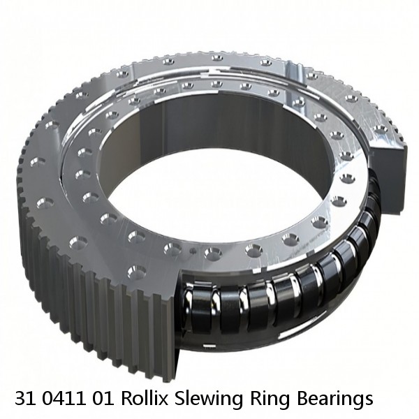 31 0411 01 Rollix Slewing Ring Bearings