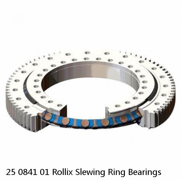 25 0841 01 Rollix Slewing Ring Bearings