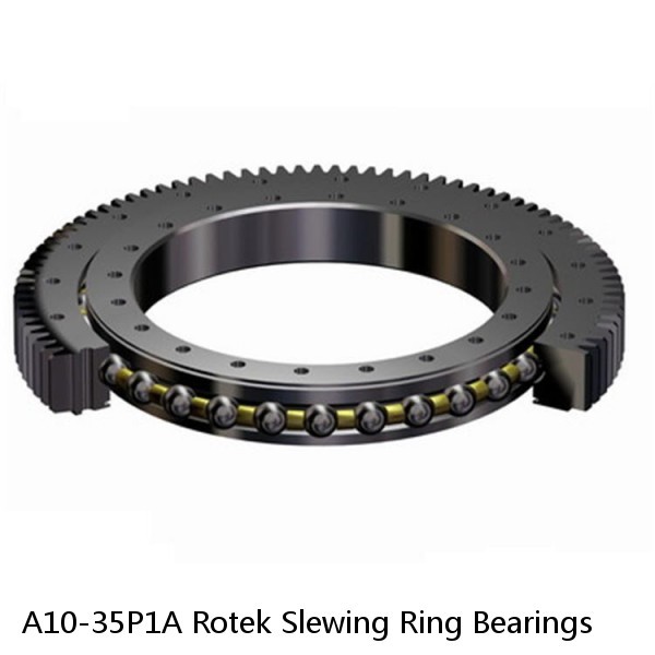 A10-35P1A Rotek Slewing Ring Bearings