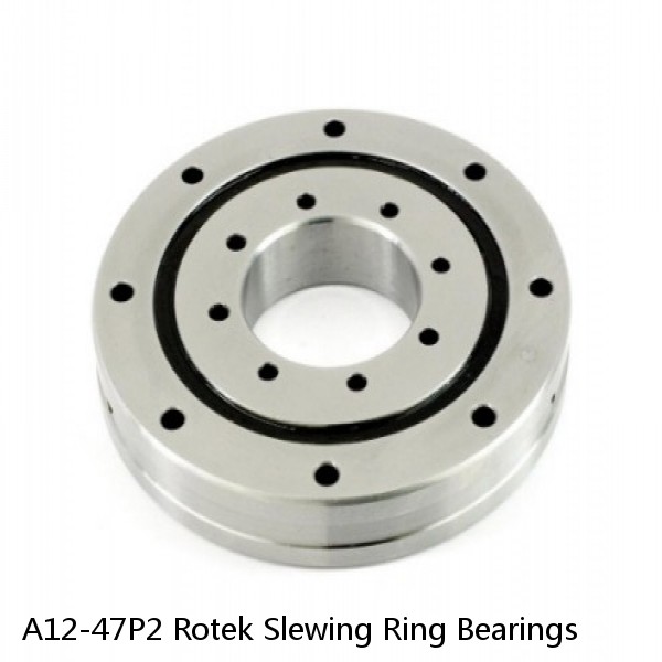 A12-47P2 Rotek Slewing Ring Bearings