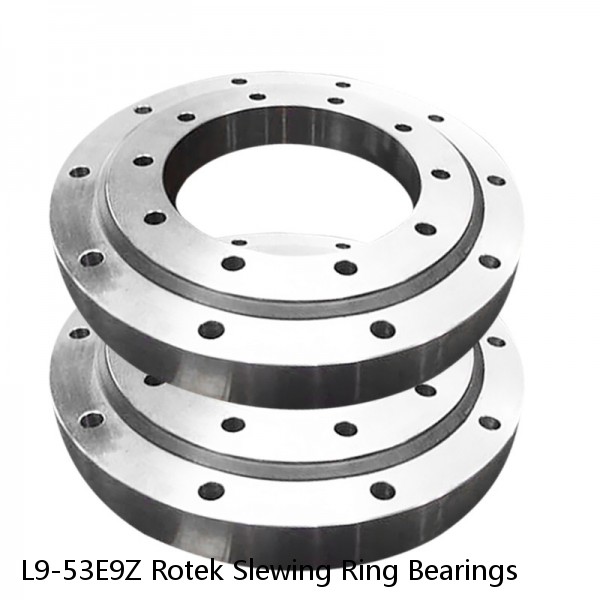 L9-53E9Z Rotek Slewing Ring Bearings