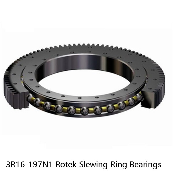 3R16-197N1 Rotek Slewing Ring Bearings