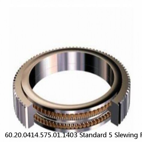 60.20.0414.575.01.1403 Standard 5 Slewing Ring Bearings