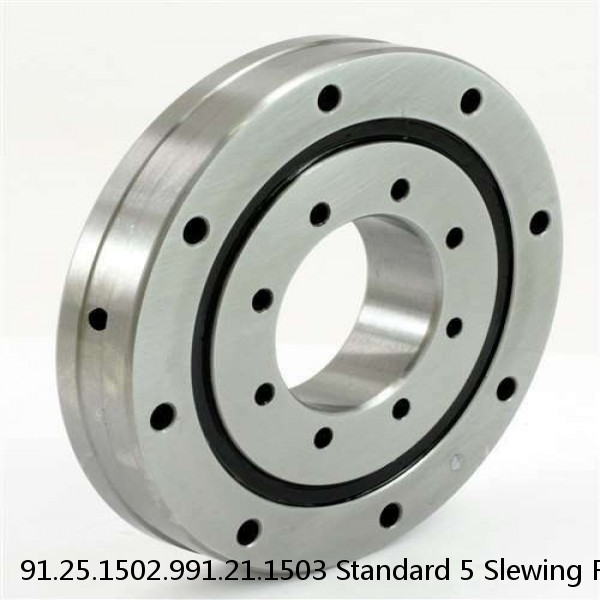 91.25.1502.991.21.1503 Standard 5 Slewing Ring Bearings