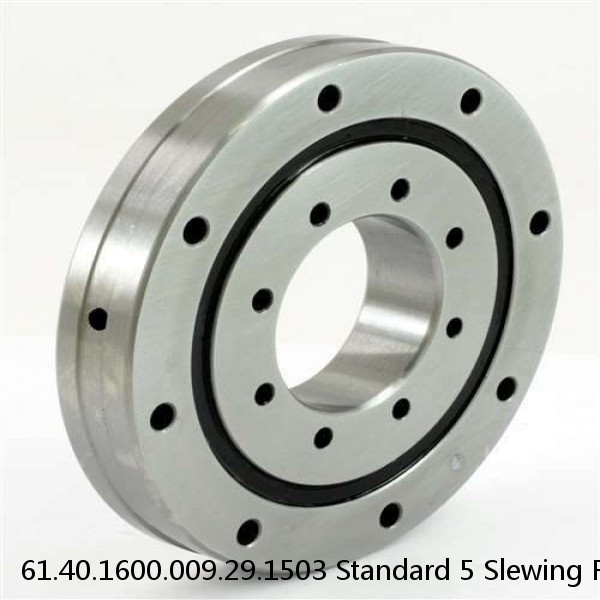 61.40.1600.009.29.1503 Standard 5 Slewing Ring Bearings