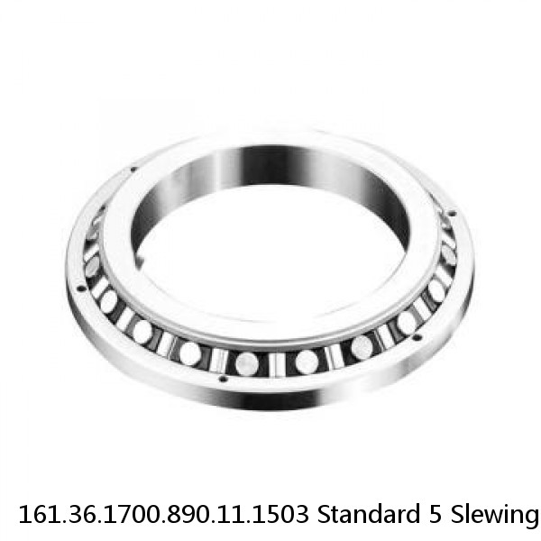 161.36.1700.890.11.1503 Standard 5 Slewing Ring Bearings