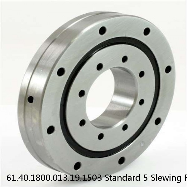 61.40.1800.013.19.1503 Standard 5 Slewing Ring Bearings