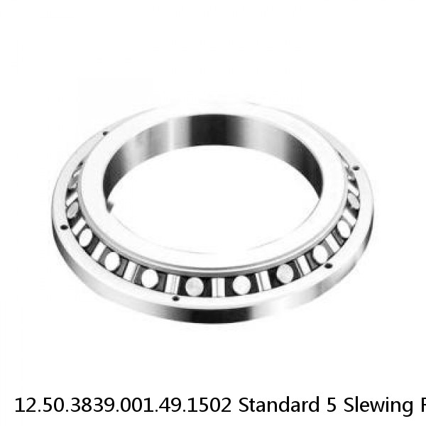 12.50.3839.001.49.1502 Standard 5 Slewing Ring Bearings